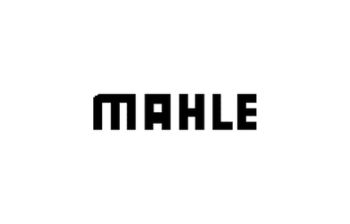 Mahle